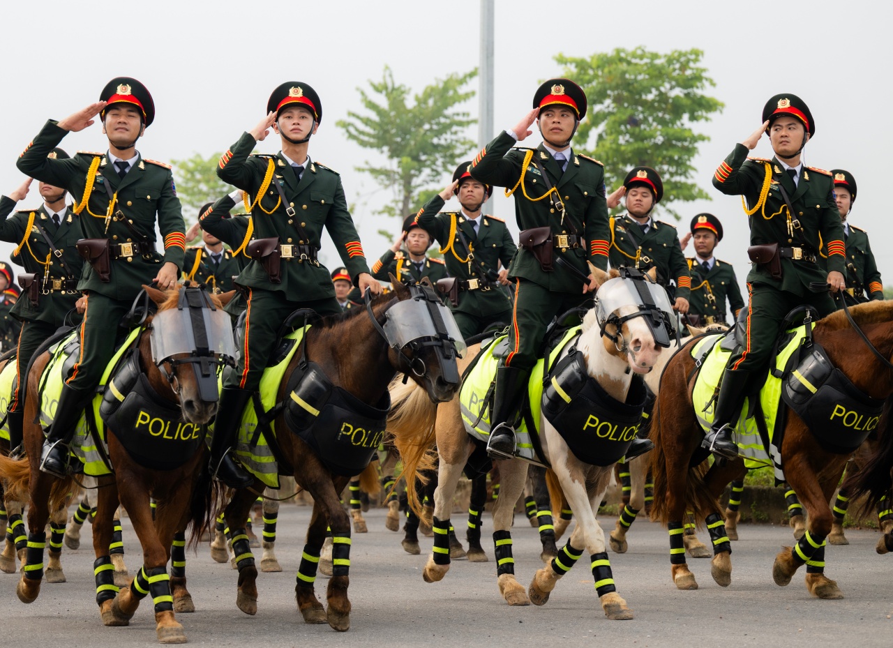 Những hình ảnh mới nhất của chú ngựa nổi tiếng Út Ngáo trong buổi diễu binh - Ảnh 2. Những hình ảnh mới nhất của chú ngựa nổi tiếng Út Ngáo trong buổi diễu binh - Ảnh 2.