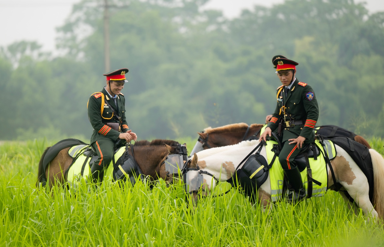 Những hình ảnh mới nhất của chú ngựa nổi tiếng Út Ngáo trong buổi diễu binh - Ảnh 4. Những hình ảnh mới nhất của chú ngựa nổi tiếng Út Ngáo trong buổi diễu binh - Ảnh 4.