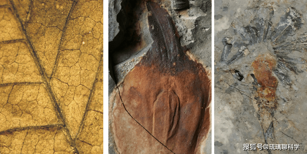 Tr&aacute;i Đất từng trải qua 'ng&agrave;y tận thế' 252 triệu năm trước, khiến 90% sự sống bị x&oacute;a sổ!- Ảnh 2.