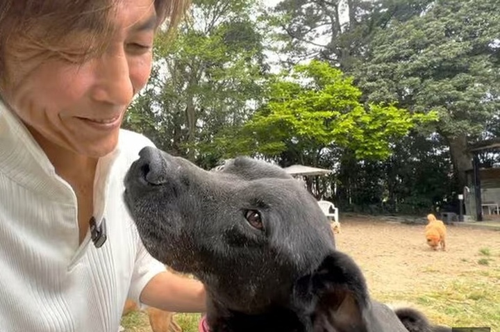 Người đàn ông bán xe Ferrari để cứu những chú chó bị ngược đãi - Ảnh 2.