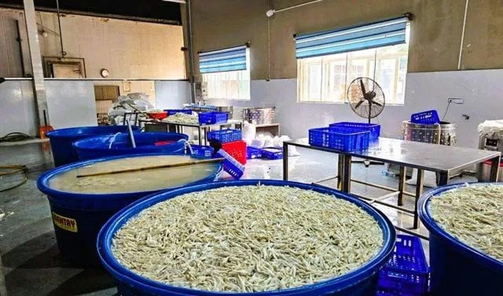 Phát hiện 6 , 9 tấn chân gà bẩn tẩy trắng hóa chất tại Thanh Hóa - Ảnh 1. Phát hiện 6 , 9 tấn chân gà bẩn tẩy trắng hóa chất tại Thanh Hóa - Ảnh 1.
