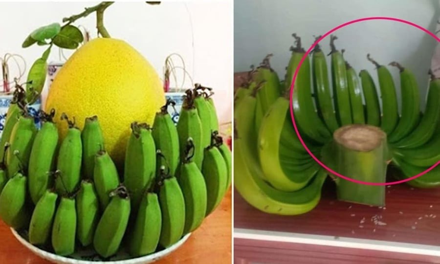 Ông bà dặn KHÔNG ghép 2 nải chuối đặt lên bàn thờ, sai phong thủy, dễ phạm đại kỵ- Ảnh 2. Ông bà dặn KHÔNG ghép 2 nải chuối đặt lên bàn thờ, sai phong thủy, dễ phạm đại kỵ- Ảnh 2.