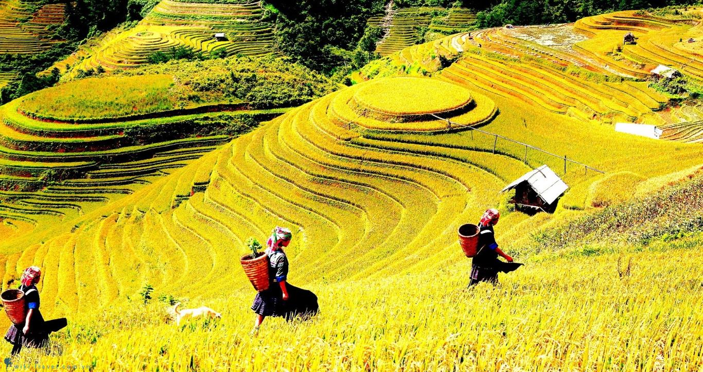 "Ngôi làng trên mây" của Việt Nam vừa lọt top 6 điểm đến cao nguyên ấn tượng nhất châu Á - Ảnh 4.