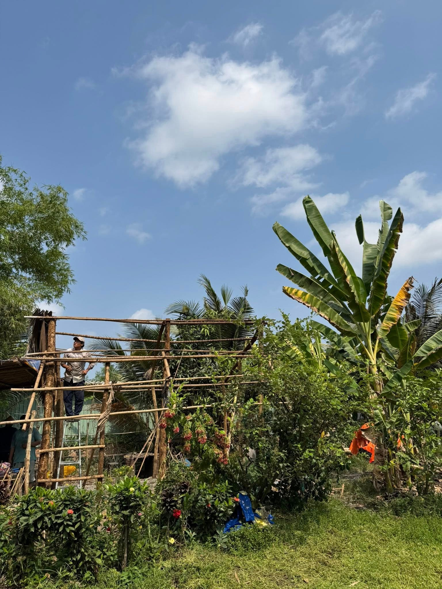 Diễn vi&ecirc;n Huỳnh Anh Tuấn cảnh b&aacute;o - Ảnh 2.