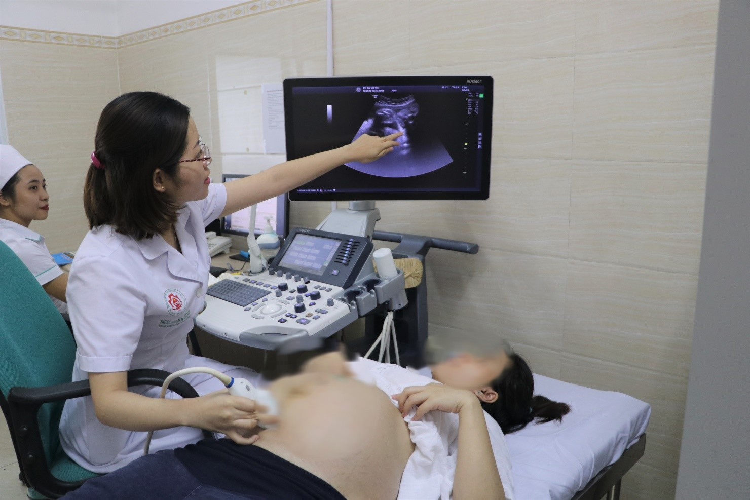 Mang thai hộ vì mục đích nhân đạo: Quy định mới ra sao?- Ảnh 2.