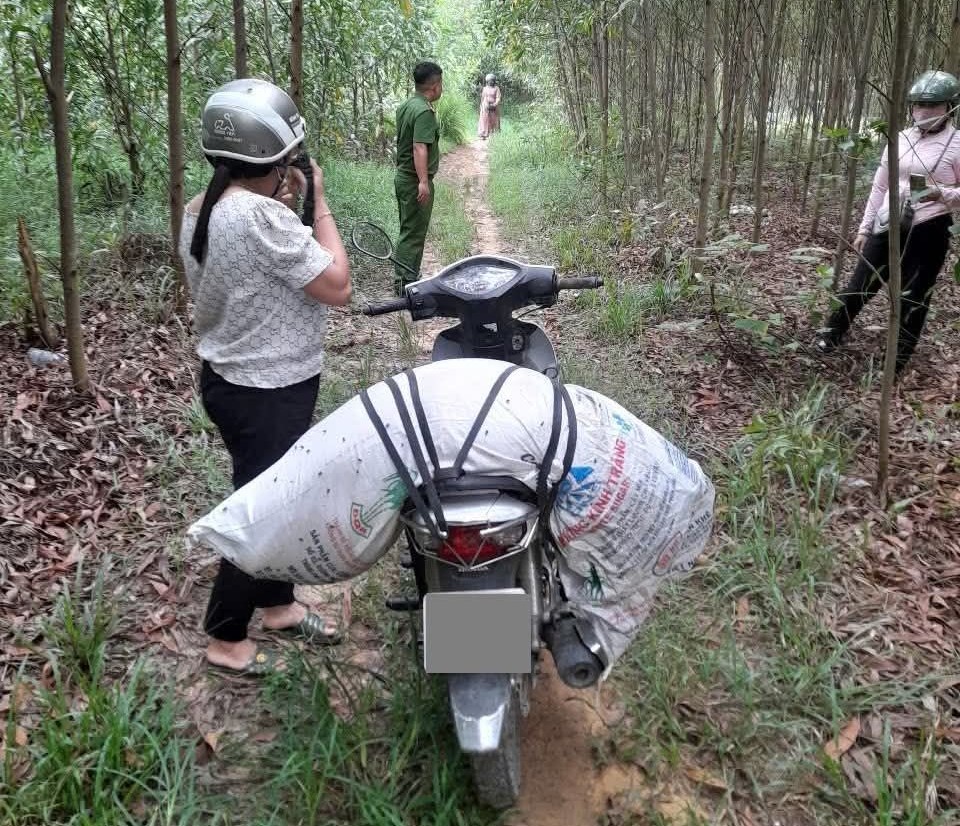 Heo chết tràn lan ở Đà Nẵng và Quảng Ngãi: Cảnh báo dịch tả châu Phi - Ảnh 7.
