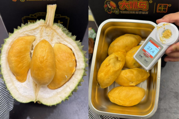 Sầu riêng ‘made in China’ sắp đến ngày hái quả: Sở hữu 1 lợi thế 'ăn đứt' Thái Lan, Việt Nam - sản lượng ra sao? - Ảnh 1.