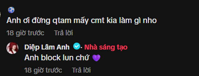 Diệp L&acirc;m Anh bị tấn c&ocirc;ng dồn dập sau họp b&aacute;o của Jack- Ảnh 4.