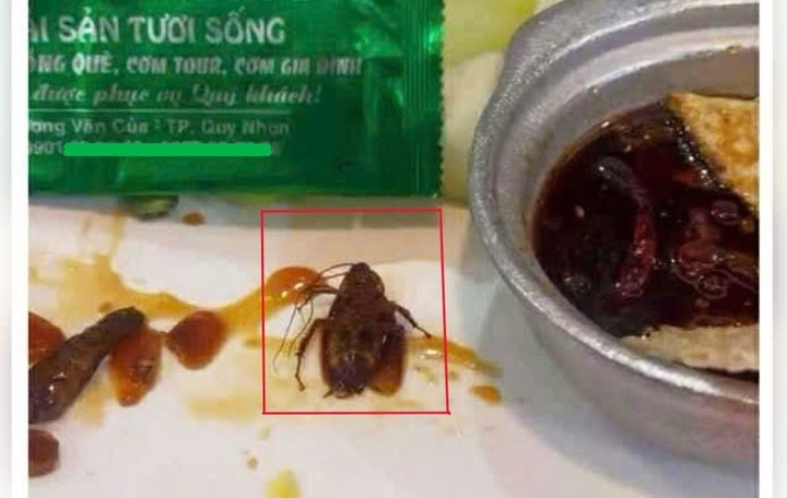 Thực khách phát hiện gián trong món ăn tại nhà hàng H . L . 2 Ở Quy Nhơn - Ảnh 1.