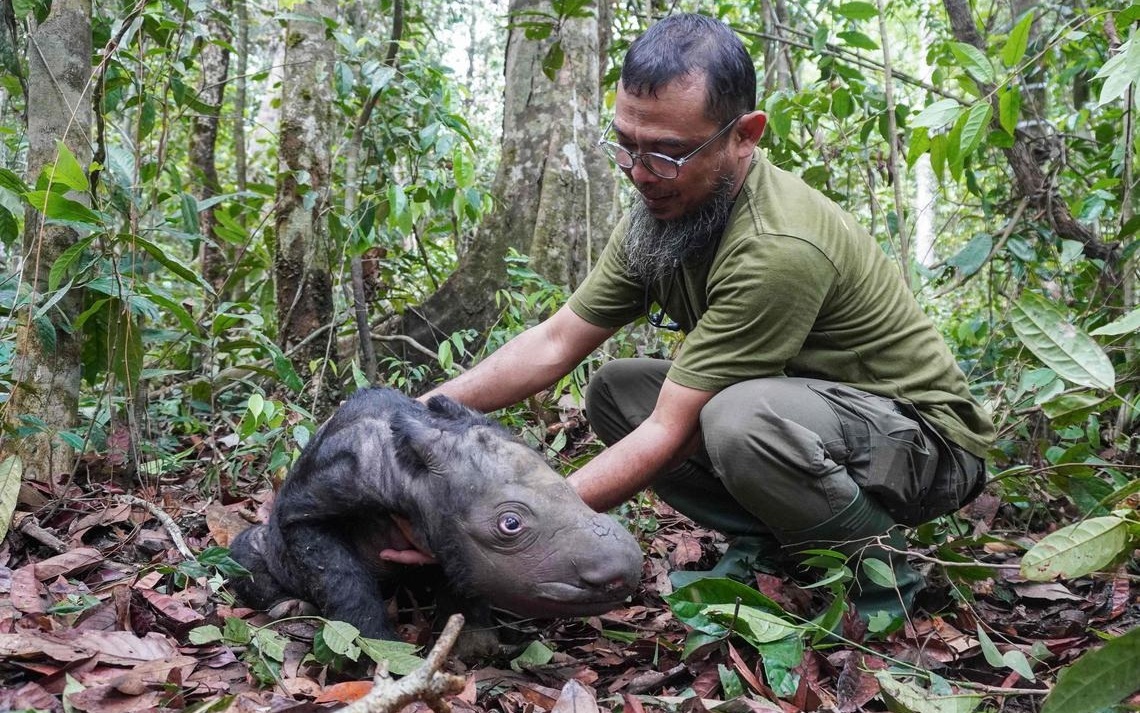 Quan Vũ có thể thắng Triệu Vân khi cả hai ở thời kỳ đỉnh cao không: Câu nói của Lưu Bị đã hé lộ đáp án - Ảnh 6.