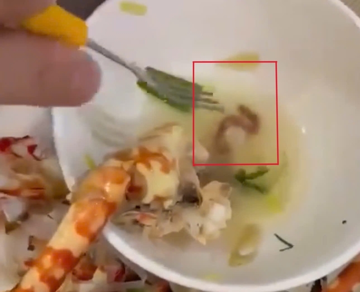 Thực khách phát hiện gián trong món ăn tại nhà hàng H . L . 2 Ở Quy Nhơn - Ảnh 3.