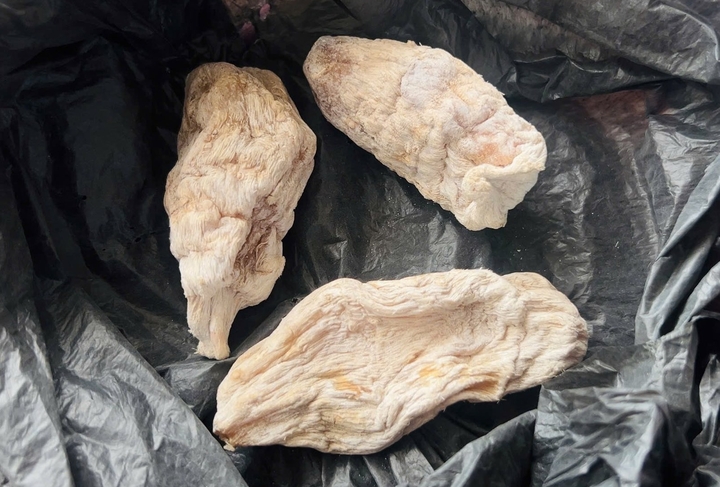  - Ảnh 1.