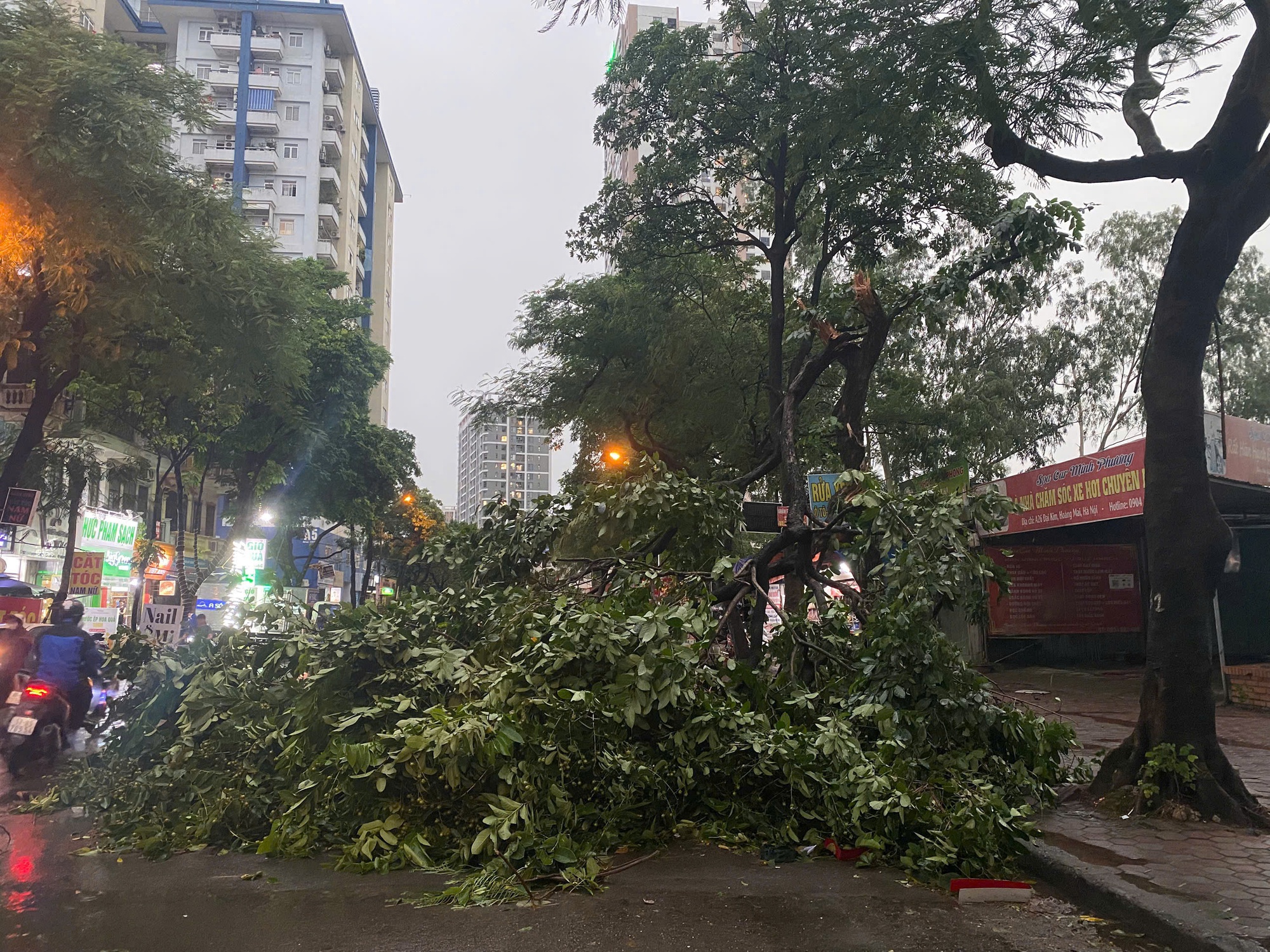 Chùm Ảnh Hà Nội tan hoang sau cơn giông mạnh , cây xanh gãy đổ khắp nơi - Ảnh 2.