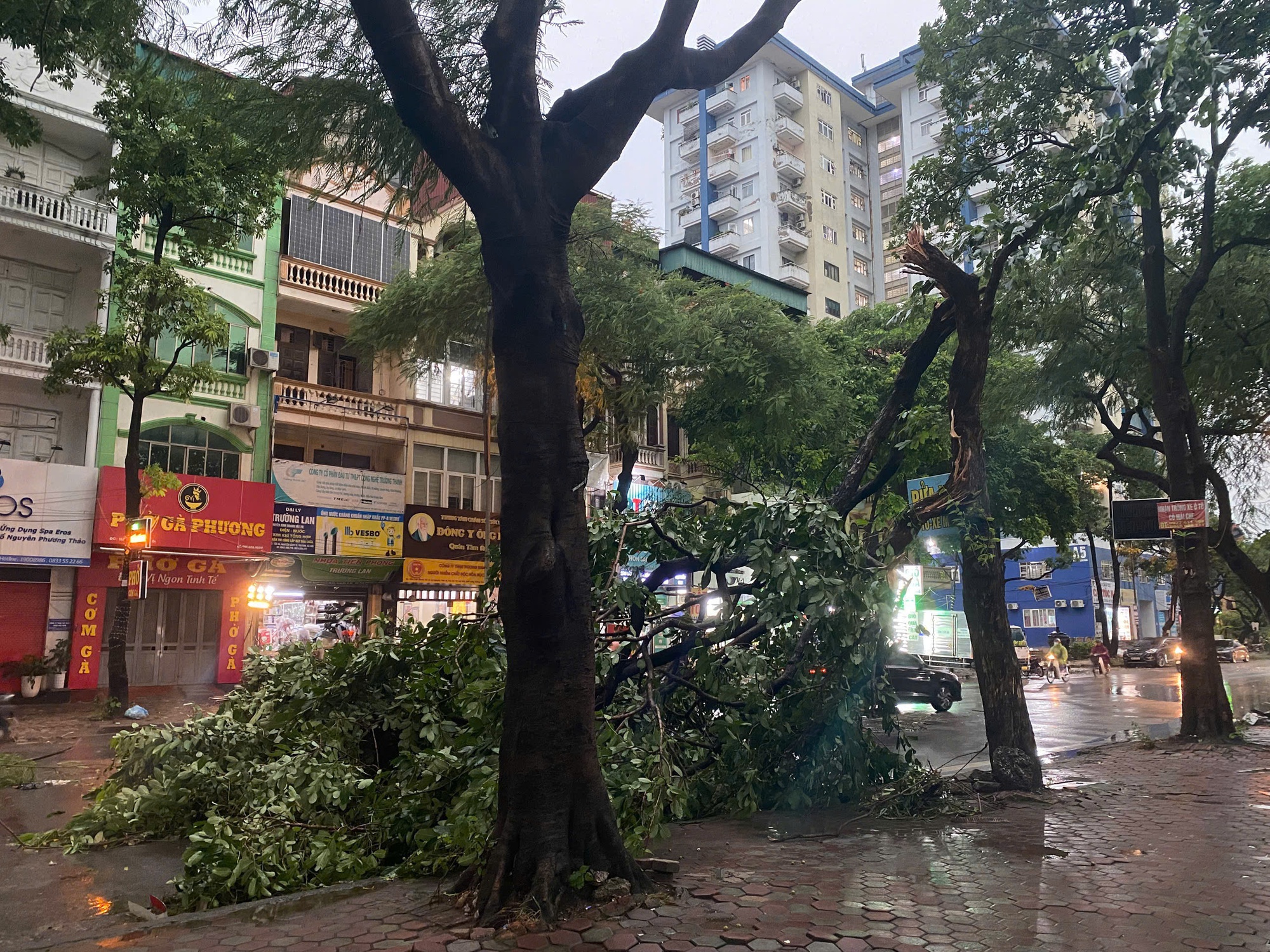 Chùm Ảnh Hà Nội tan hoang sau cơn giông mạnh , cây xanh gãy đổ khắp nơi - Ảnh 3.