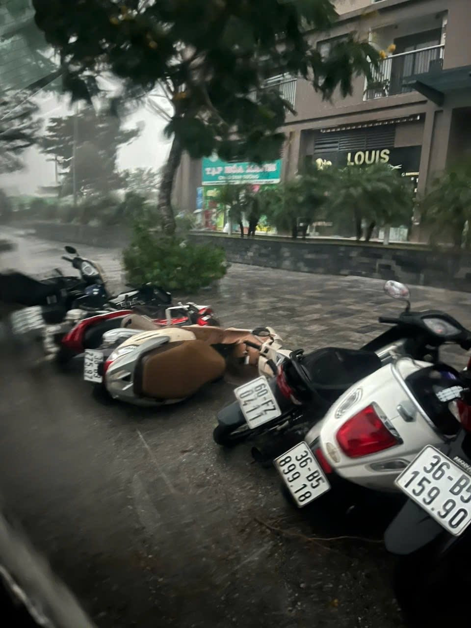 Mưa lớn ở thanh hóa do bão số 3 gây thiệt hại nghiêm trọng cho người và tài sản - Ảnh 5.