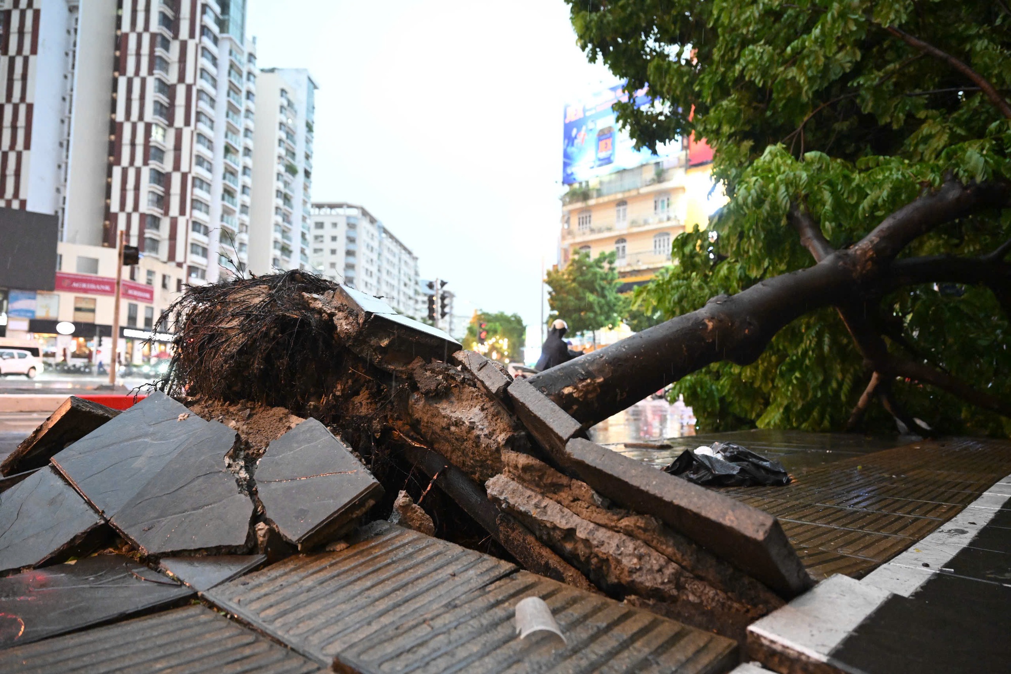 Chùm Ảnh Hà Nội tan hoang sau cơn giông mạnh , cây xanh gãy đổ khắp nơi - Ảnh 15.