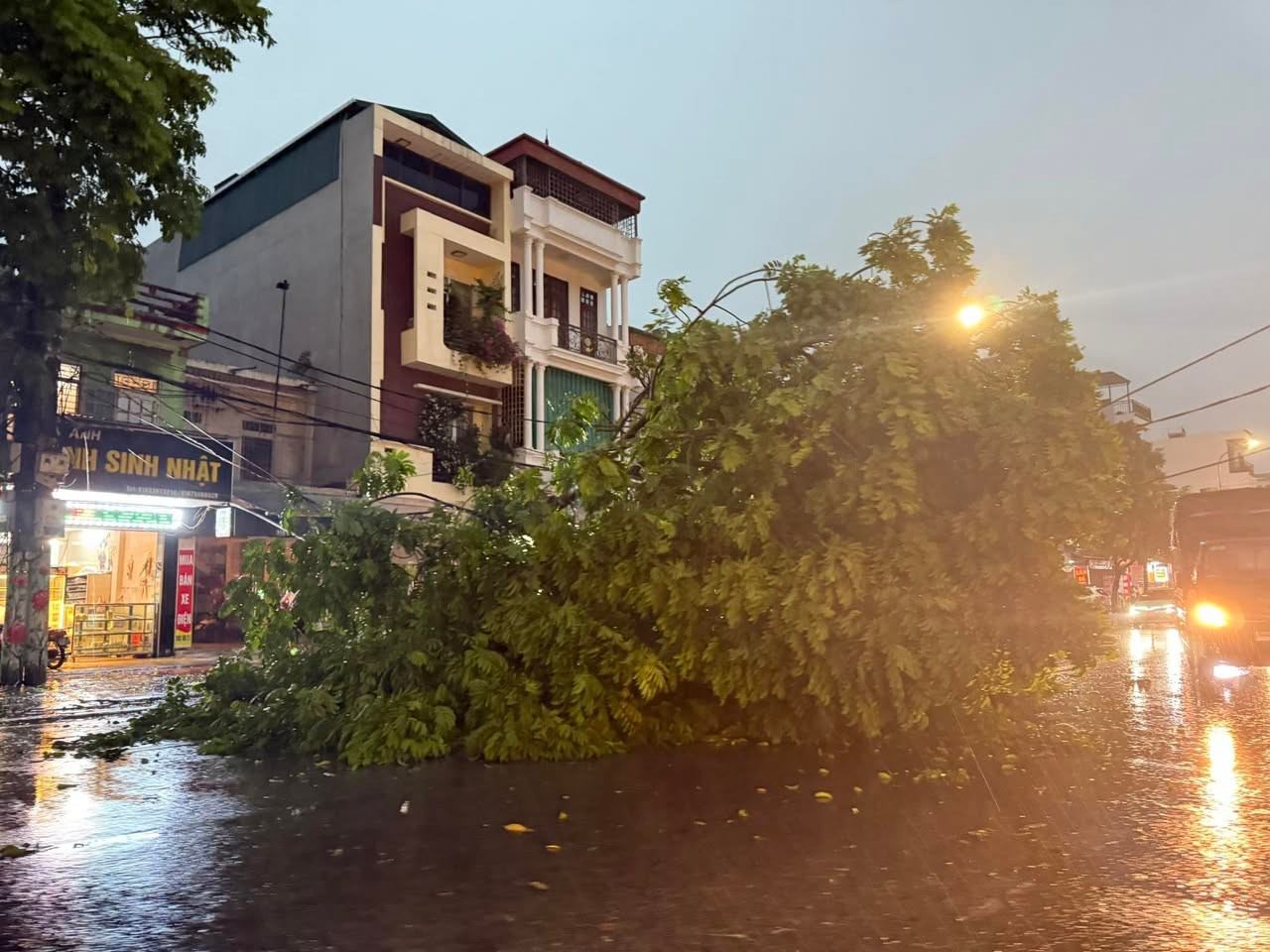 Mưa lớn ở thanh hóa do bão số 3 gây thiệt hại nghiêm trọng cho người và tài sản - Ảnh 4.