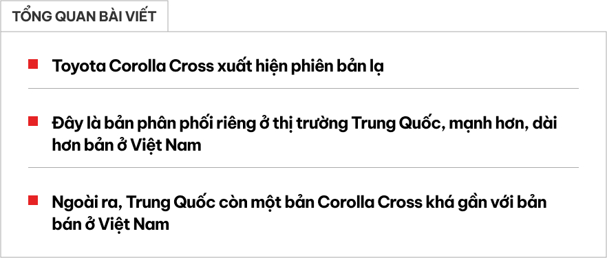 - Ảnh 1.