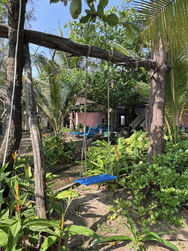 Bỏ việc lương gần 50 triệu/th&aacute;ng, c&ocirc; g&aacute;i về biển "chữa l&agrave;nh": Gia đ&igrave;nh ngăn cản, sợ sống l&ocirc;ng b&ocirc;ng, thiếu ổn định- Ảnh 6.