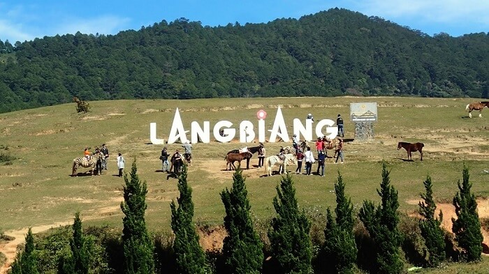 Sau sáp nhập, tỉnh này trở thành tỉnh lớn nhất Việt Nam: Vừa có rừng, vừa có biển, vừa có đường biên giới - Ảnh 12.