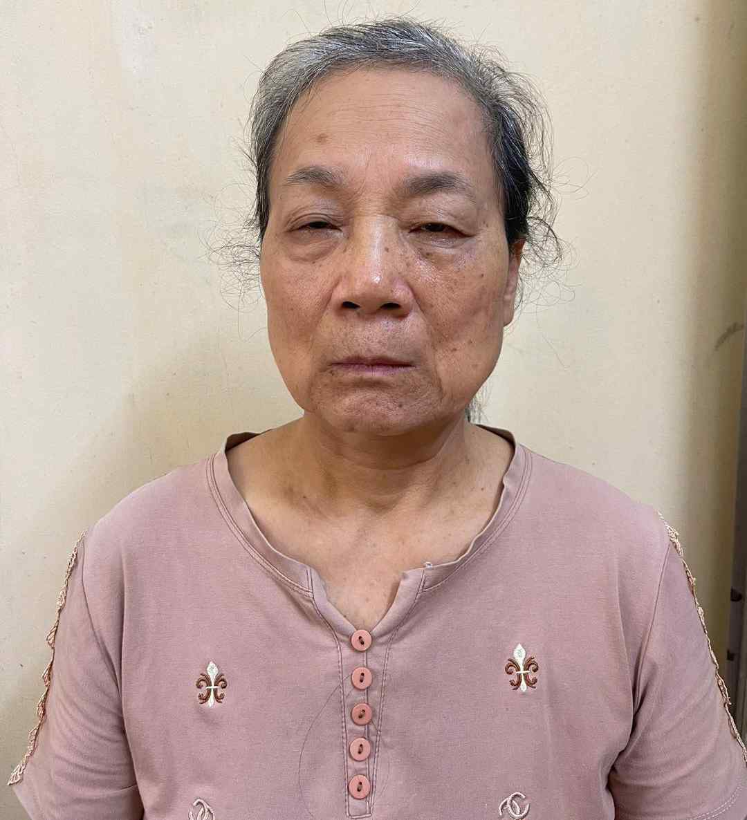 Bắt Mai Thị Hạ vì xúc phạm cán bộ tòa án trên mạng xã hội - Ảnh 1.