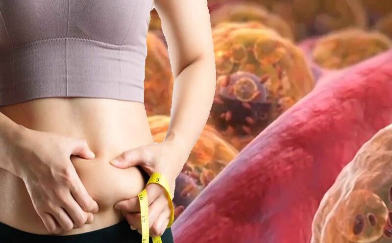 Người Việt có 1 loại rau giảm mỡ nội tạng đứng hàng tiên phong, thế giới nức nở khen vì siêu giàu dinh dưỡng, rất lợi cho phụ nữ- Ảnh 3.