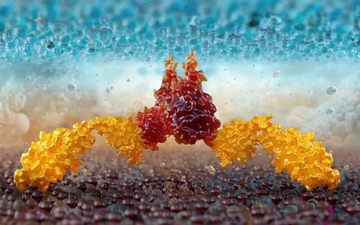 Trung Quốc tìm ra liệu pháp chữa ung thư giá rẻ bằng cách tiêm trực tiếp - Ảnh 1.