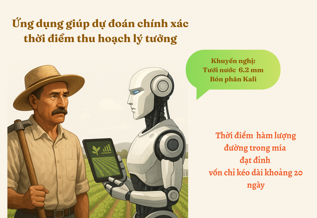 Khi loại nông sản tỷ đô của Ấn Độ bất ngờ gặp khó: Nông dân sử dụng AI để tăng năng suất, dữ liệu từ vệ tinh, cảm biến đất, máy bay không người lái vào cuộc - Ảnh 7.