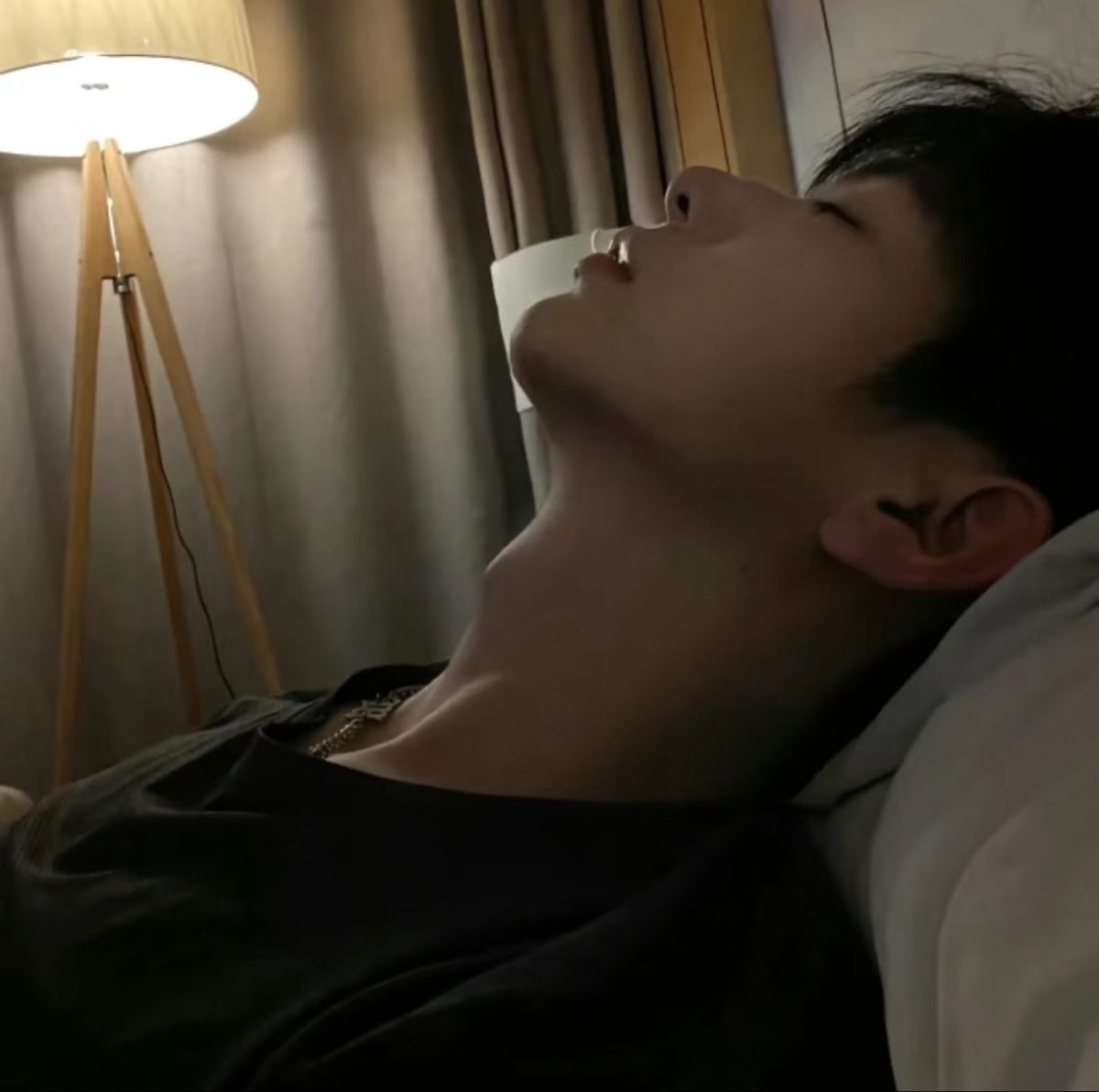 - Ảnh 1.
