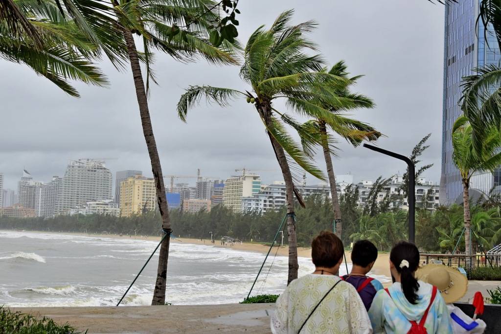 Đ&acirc;y l&agrave; mức độ t&agrave;n ph&aacute; của b&atilde;o Wipha tại Trung Quốc: Mưa xối xả, c&acirc;y bật gốc v&agrave; cảnh b&aacute;o nguy cơ tiếp diễn- Ảnh 1.