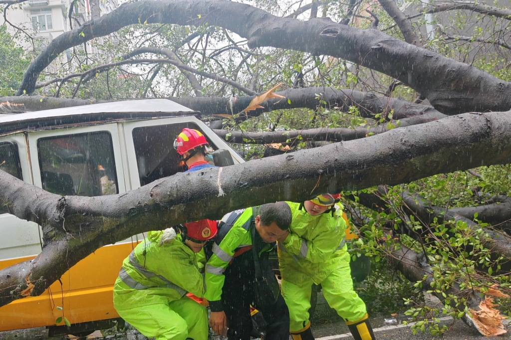 Đ&acirc;y l&agrave; mức độ t&agrave;n ph&aacute; của b&atilde;o Wipha tại Trung Quốc: Mưa xối xả, c&acirc;y bật gốc v&agrave; cảnh b&aacute;o nguy cơ tiếp diễn- Ảnh 5.