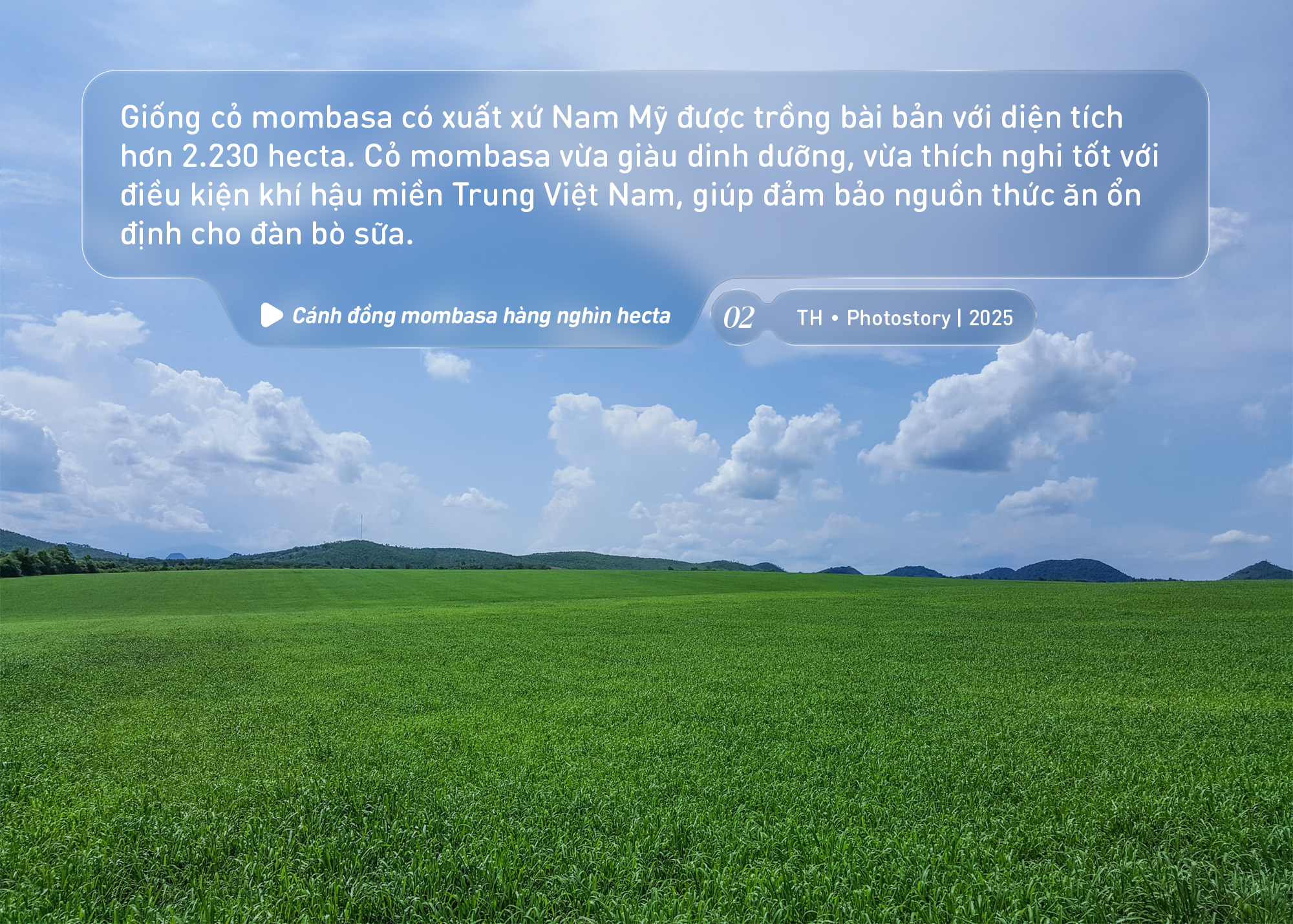 Bức tranh thi&ecirc;n nhi&ecirc;n ng&uacute;t tầm mắt chỉ c&oacute; ở nơi sản xuất sữa tươi sạch TH true MILK - Ảnh 2.