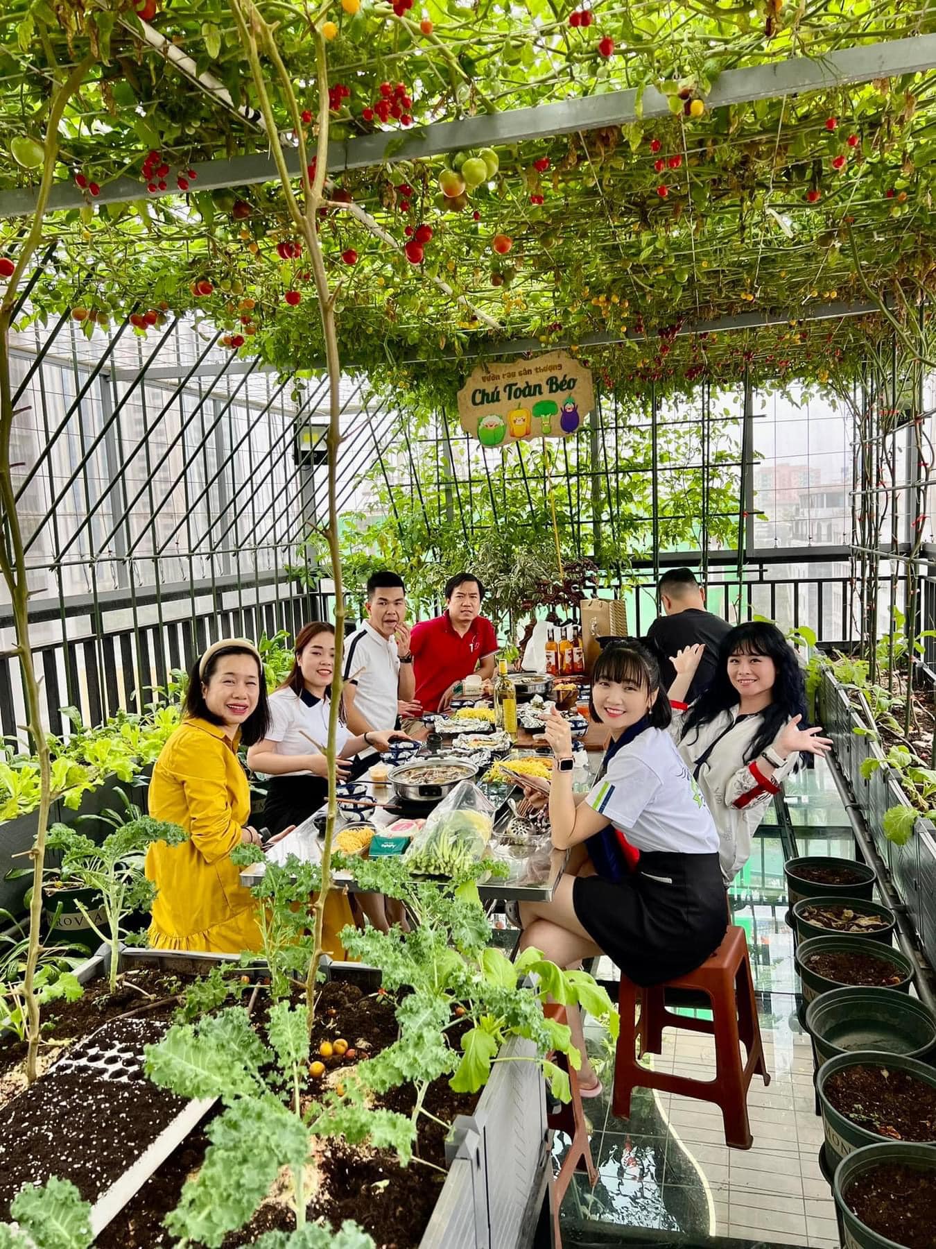 Gửi rau thay lời cảm ơn: &Ocirc;ng bố H&agrave; Nội biến s&acirc;n thượng th&agrave;nh vườn, tặng n&ocirc;ng sản cho người ủng hộ thiện nguyện- Ảnh 6.