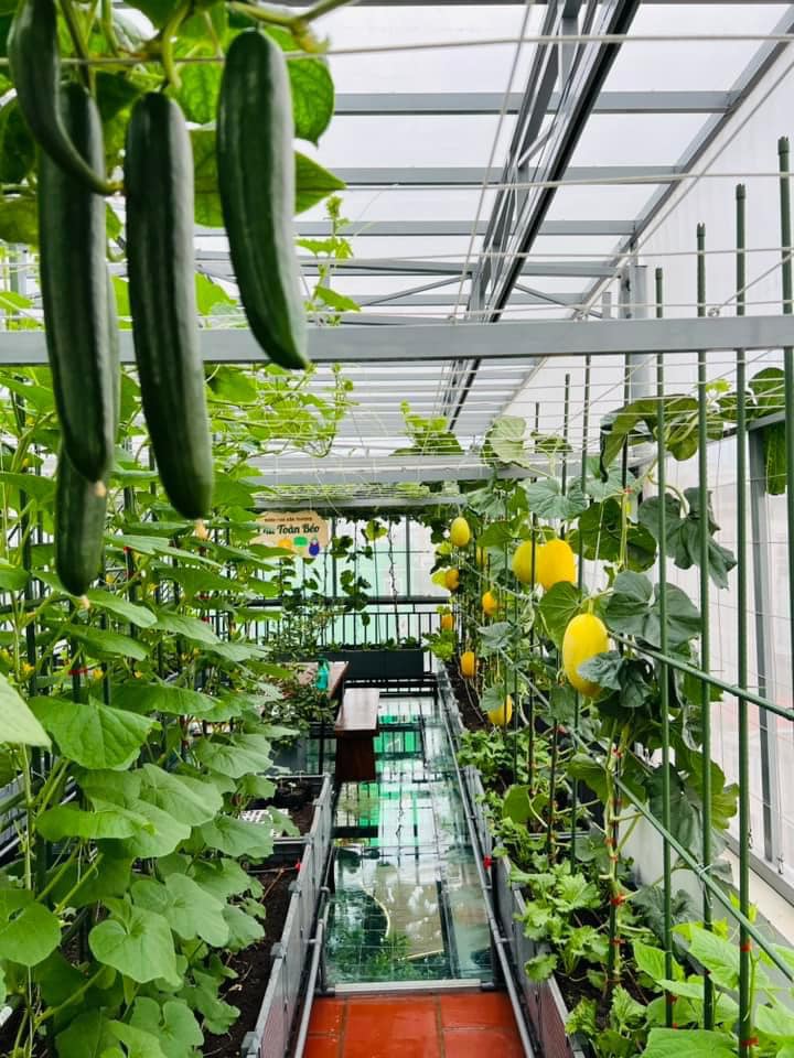 Gửi rau thay lời cảm ơn: &Ocirc;ng bố H&agrave; Nội biến s&acirc;n thượng th&agrave;nh vườn, tặng n&ocirc;ng sản cho người ủng hộ thiện nguyện- Ảnh 11.