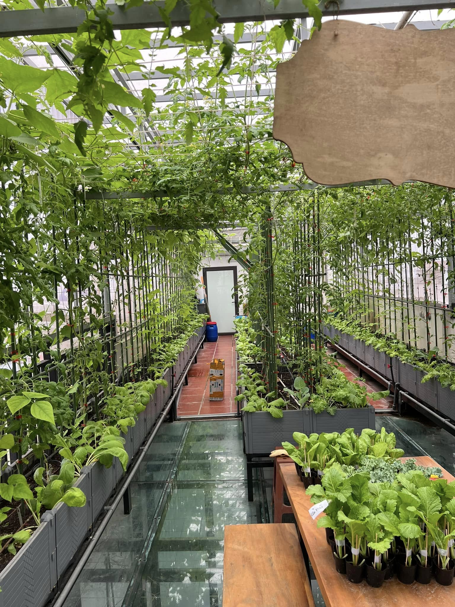 Gửi rau thay lời cảm ơn: &Ocirc;ng bố H&agrave; Nội biến s&acirc;n thượng th&agrave;nh vườn, tặng n&ocirc;ng sản cho người ủng hộ thiện nguyện- Ảnh 8.