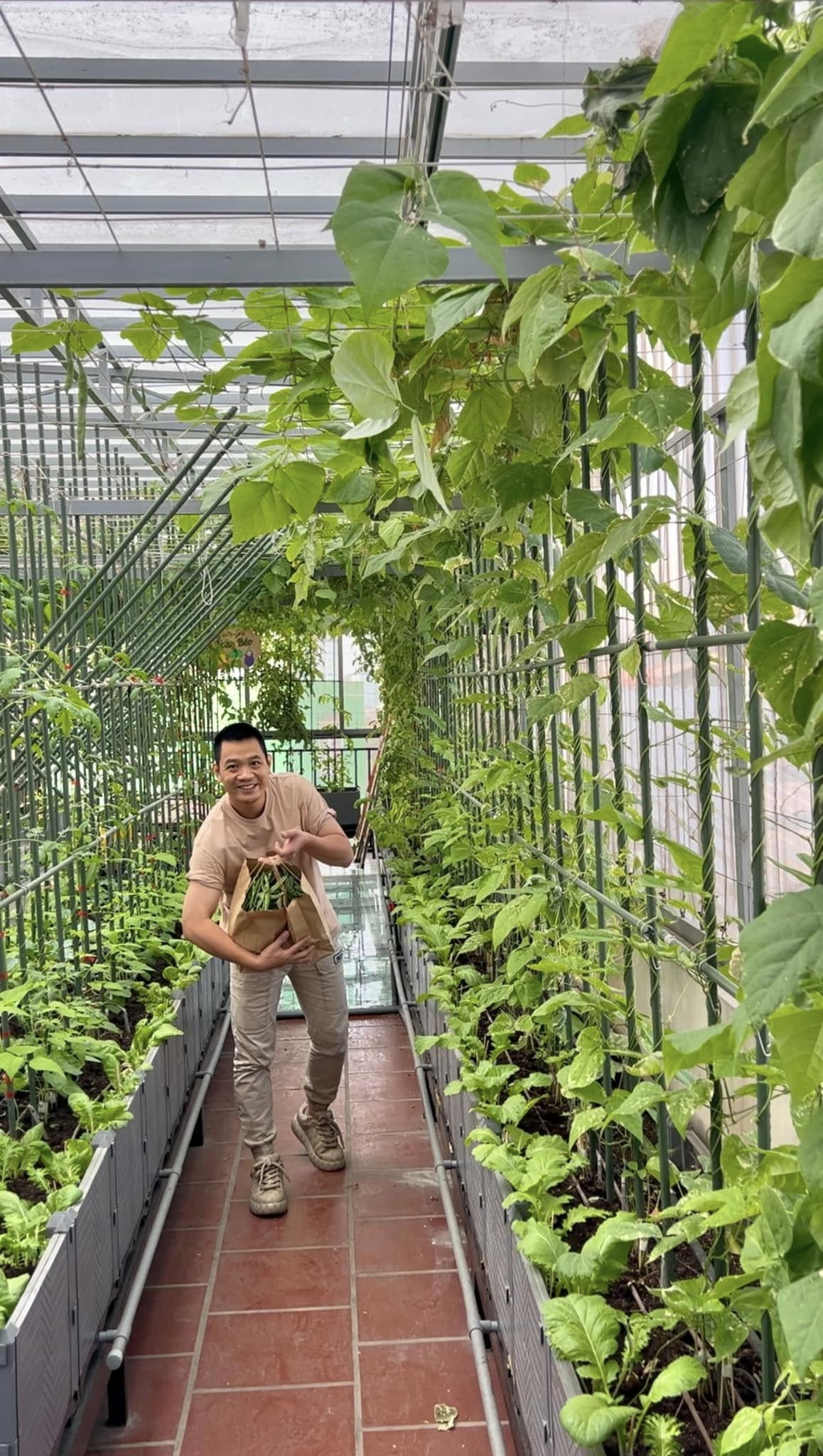 Gửi rau thay lời cảm ơn: &Ocirc;ng bố H&agrave; Nội biến s&acirc;n thượng th&agrave;nh vườn, tặng n&ocirc;ng sản cho người ủng hộ thiện nguyện- Ảnh 13.