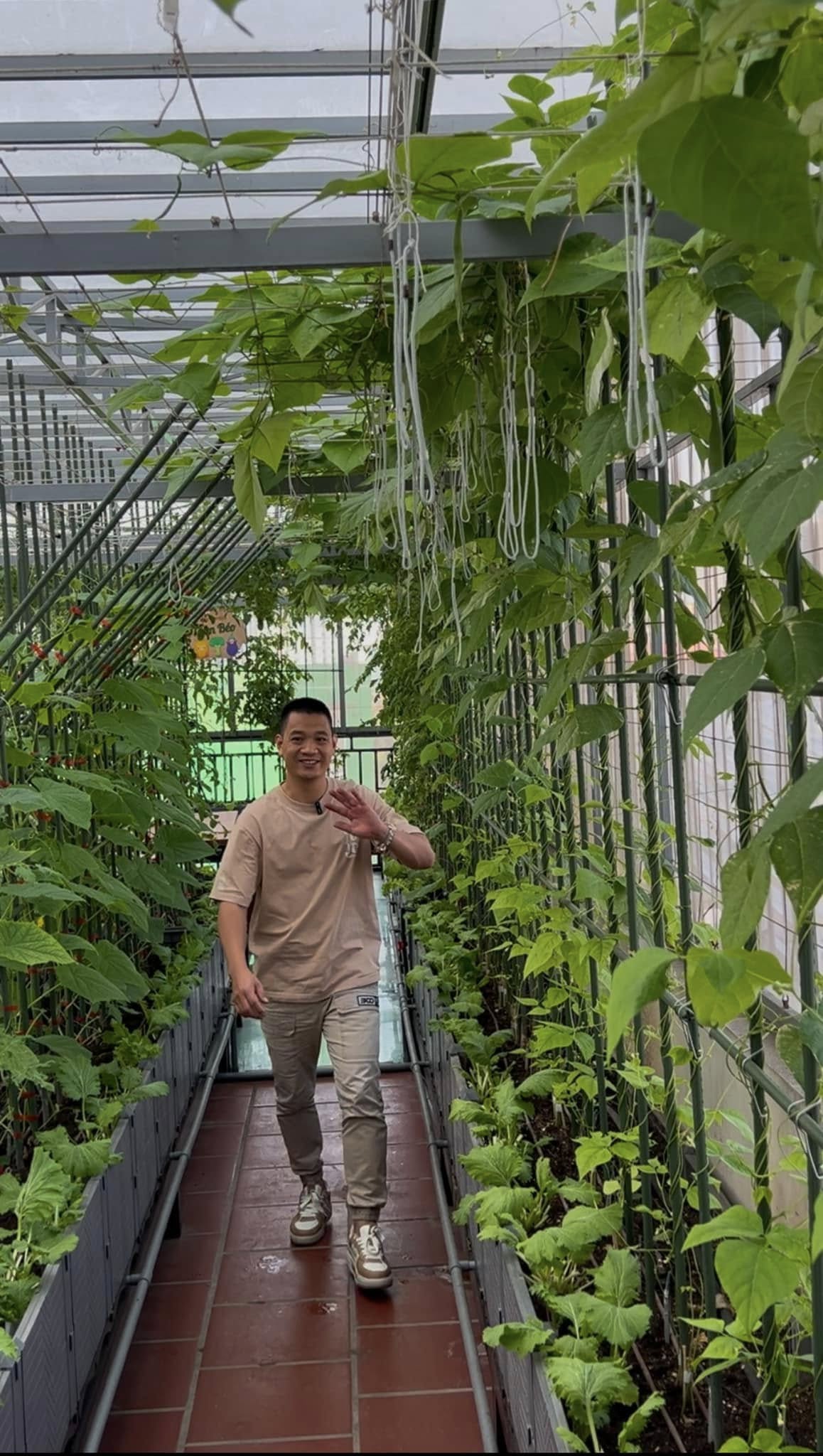 Gửi rau thay lời cảm ơn: &Ocirc;ng bố H&agrave; Nội biến s&acirc;n thượng th&agrave;nh vườn, tặng n&ocirc;ng sản cho người ủng hộ thiện nguyện- Ảnh 10.