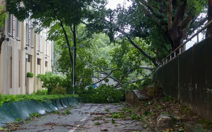 B&atilde;o Wipha khiến hơn 30 người bị thương ở Hong Kong (Trung Quốc), 3 người thiệt mạng ở Philippines - Ảnh 1.