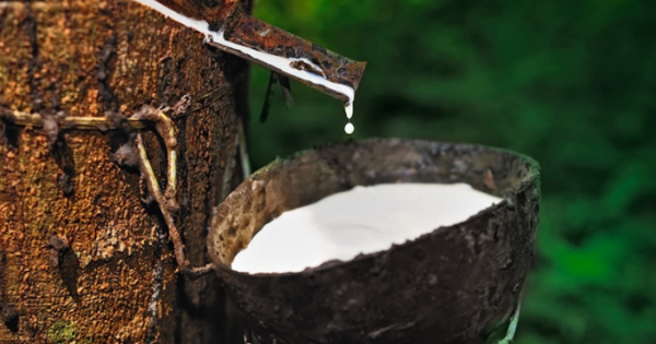 Người dân đặc biệt chú ý, nếu quá hạn 3 mốc thời gian này sẽ không thể sang tên sổ đỏ, còn bị phạt tiền lên đến 20 triệu đồng - Ảnh 3.