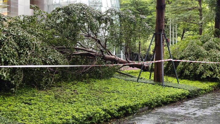 Bão Wipha càn quét Trung Quốc, 'tường mây khổng lồ' xuất hiện- Ảnh 3.
