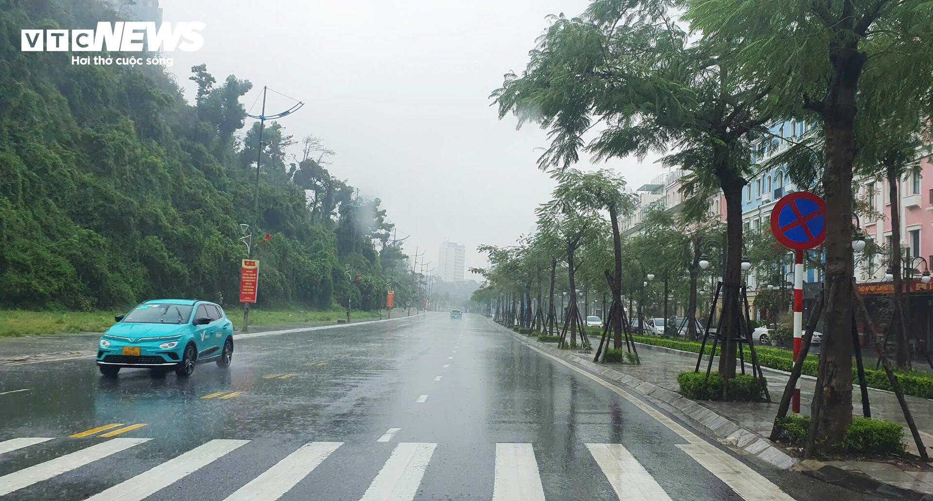 Người dân Quảng Ninh chặn bão Wipha bằng container và xe tải trước cửa hàng hải sản - Ảnh 8.