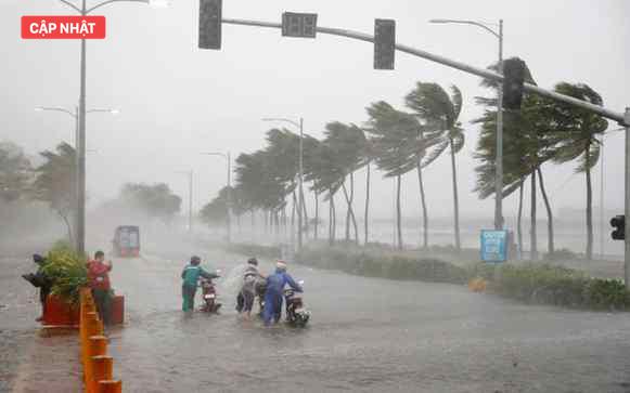 Một nạn nhân vụ chìm tàu ở Vịnh Hạ Long được bồi thường hơn 1,3 tỉ đồng - Ảnh 3.