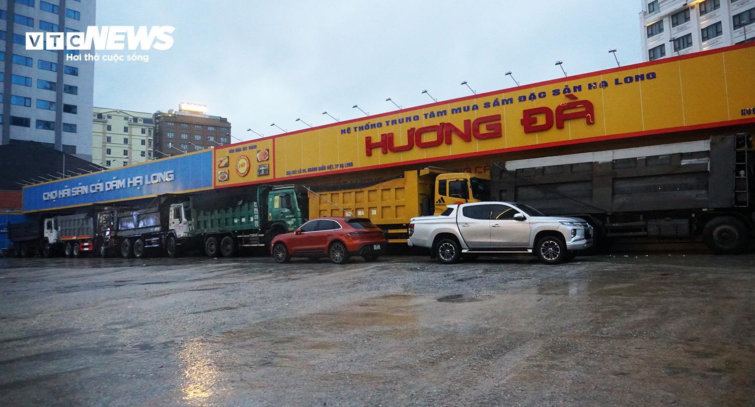 Người dân Quảng Ninh chặn bão Wipha bằng container và xe tải trước cửa hàng hải sản - Ảnh 4.