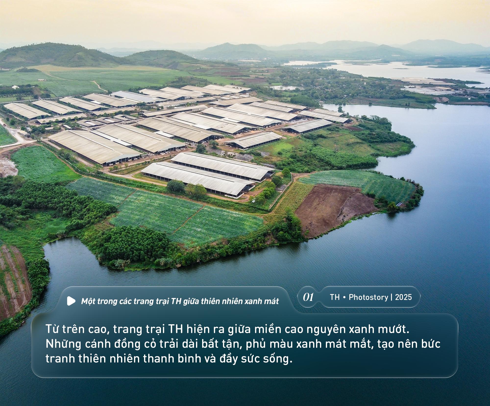 Bức tranh thi&ecirc;n nhi&ecirc;n ng&uacute;t tầm mắt chỉ c&oacute; ở nơi sản xuất sữa tươi sạch TH true MILK - Ảnh 1.