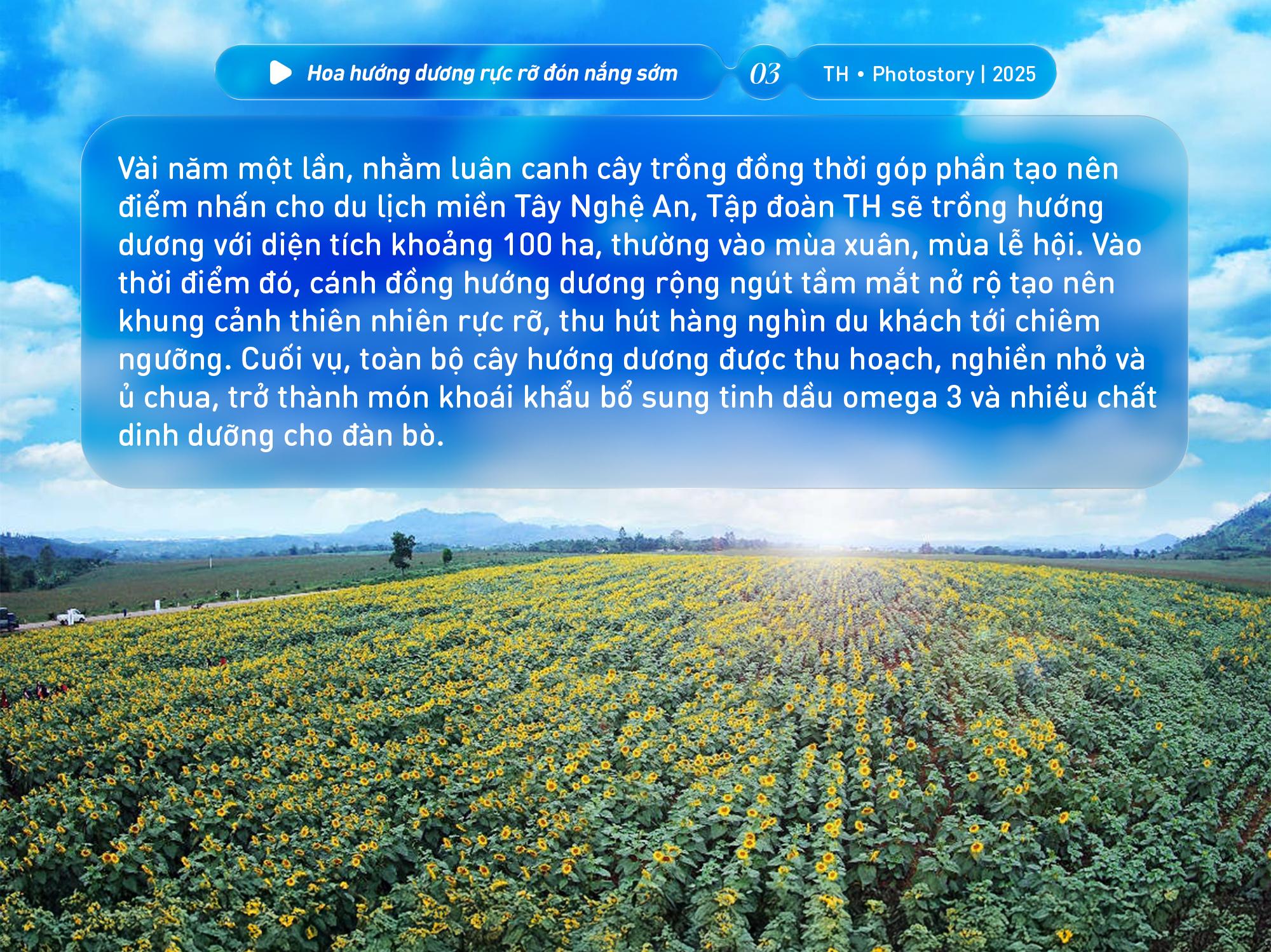 Bức tranh thi&ecirc;n nhi&ecirc;n ng&uacute;t tầm mắt chỉ c&oacute; ở nơi sản xuất sữa tươi sạch TH true MILK - Ảnh 3.