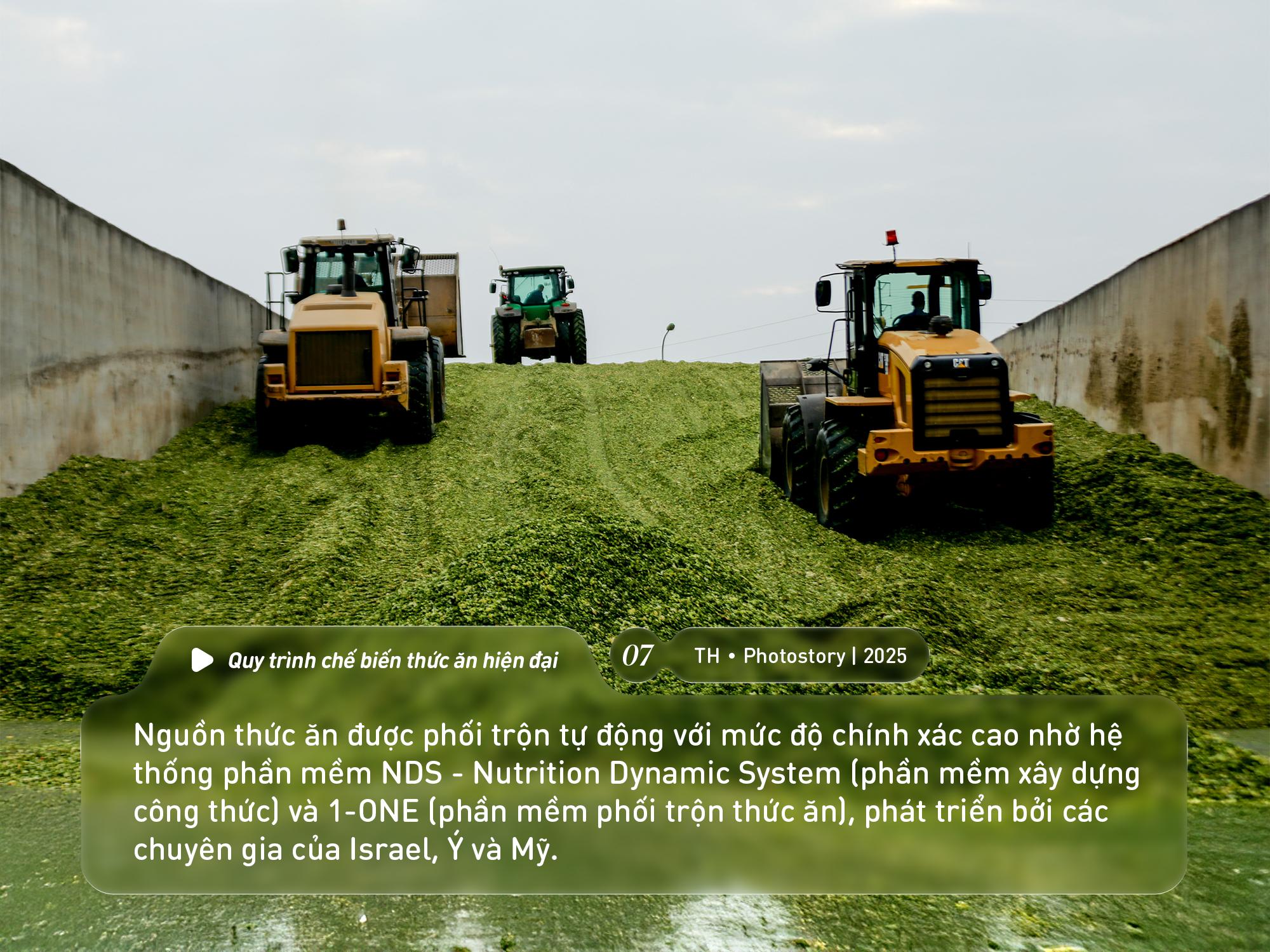 Bức tranh thi&ecirc;n nhi&ecirc;n ng&uacute;t tầm mắt chỉ c&oacute; ở nơi sản xuất sữa tươi sạch TH true MILK - Ảnh 7.