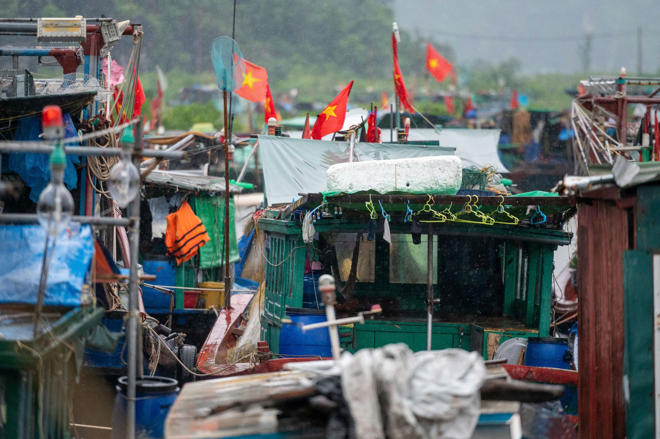 Bão số 3 đe dọa Quảng Ninh: Di dời 10 . 000 Người , đưa 14 . 000 Du khách về bờ an toàn - Ảnh 9.
