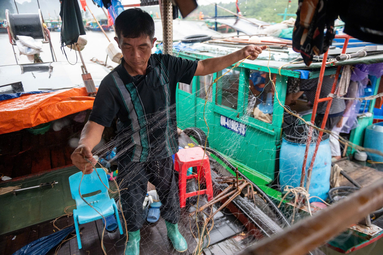 Bão số 3 đe dọa Quảng Ninh: Di dời 10 . 000 Người , đưa 14 . 000 Du khách về bờ an toàn - Ảnh 7.