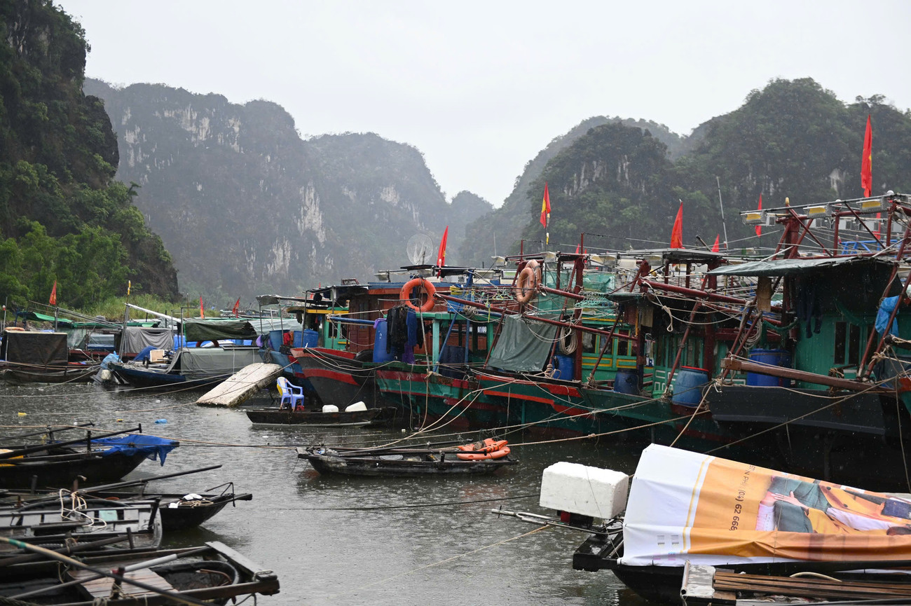 Bão số 3 đe dọa Quảng Ninh: Di dời 10 . 000 Người , đưa 14 . 000 Du khách về bờ an toàn - Ảnh 2.