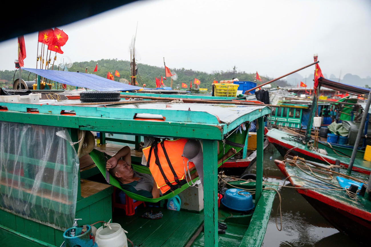 Bão số 3 đe dọa Quảng Ninh: Di dời 10 . 000 Người , đưa 14 . 000 Du khách về bờ an toàn - Ảnh 11.
